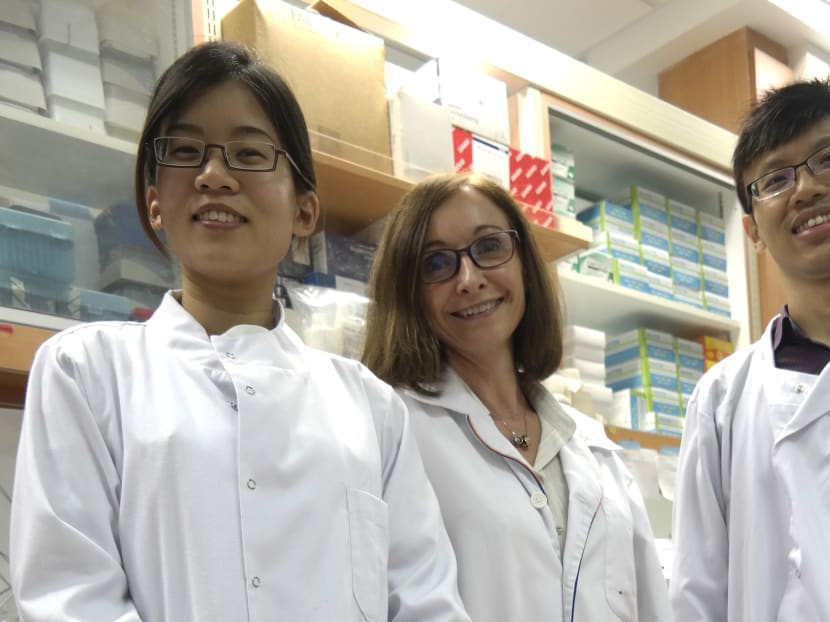 Part of the National University of Singapore research team that found out how a dengue-vaccinated mother’s antibodies could worsen dengue infection in their babies: (From left to right) Ms Lee Pei Xuan, Associate Professor Sylvie Alonso and Mr Benson Chua. Photo: NUS