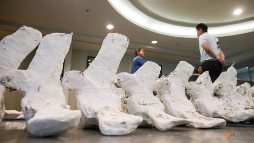 Thai researchers unearth rare whale skeleton Thai researchers unearth rare whale skeleton