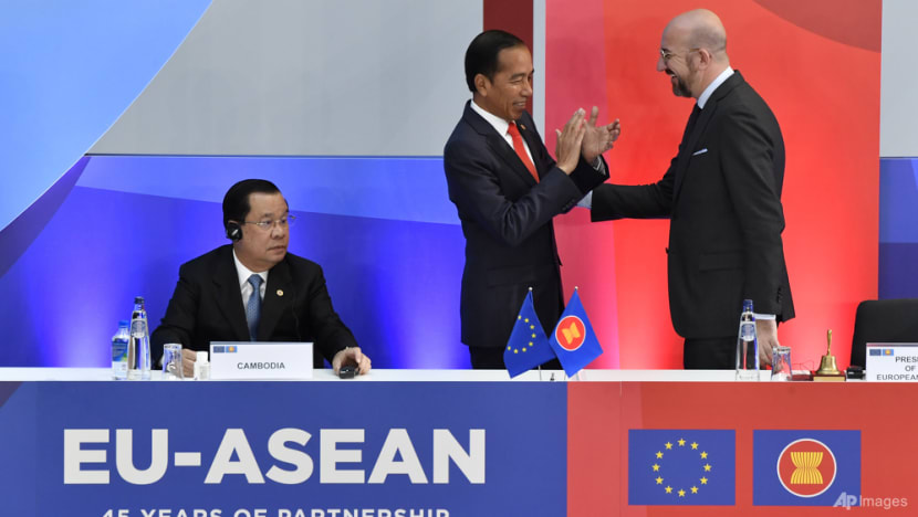 Self-interests at play as EU, ASEAN navigate China, seek rules-based world order: Observers