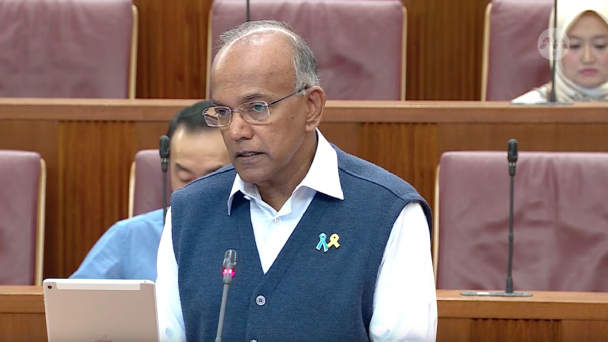 'Politically significant person' designation under foreign interference law must be in public interest: Shanmugam - Vimarsana News