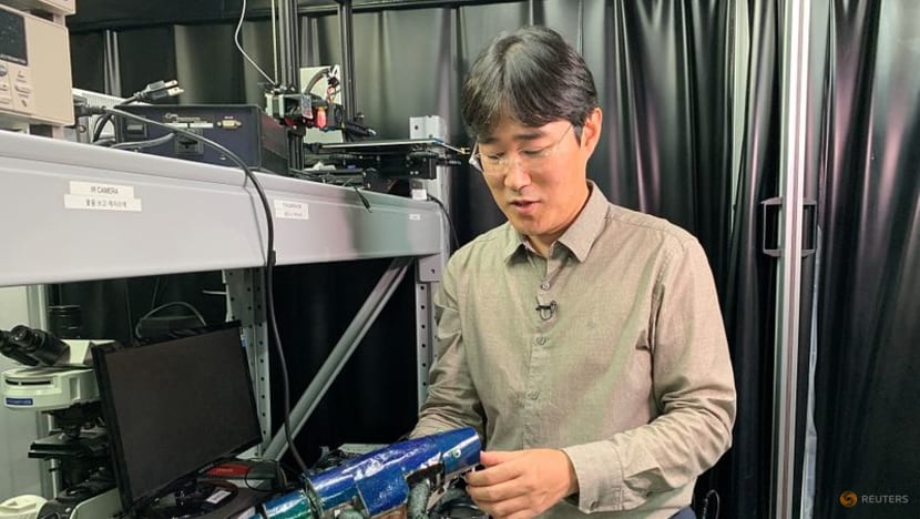 South Korean researchers create chameleon-like artificial "skin" South Korean researchers create chameleon-like artificial "skin"