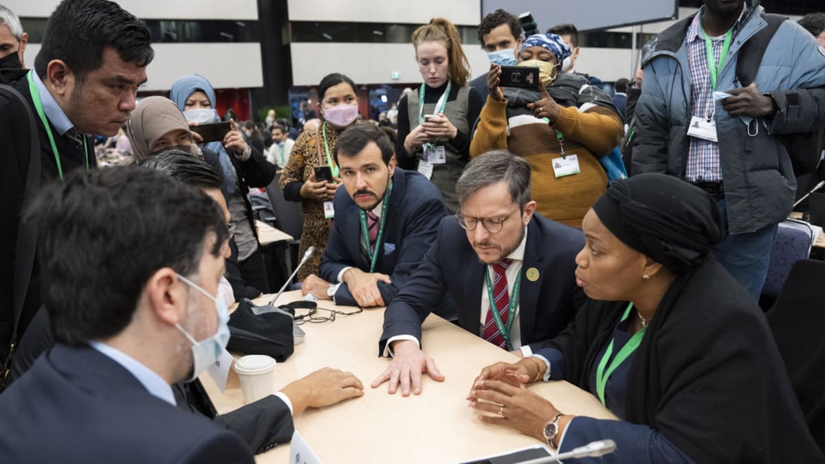 ‘Kita bisa berbuat lebih baik’: Para ahli ‘menjaga optimisme’ terhadap kesepakatan bersejarah COP15