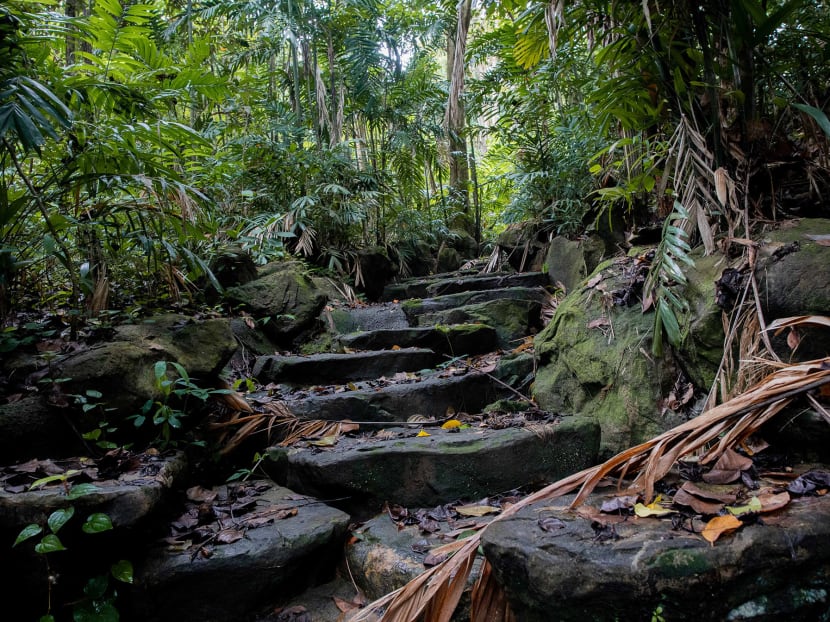Artificial rock steps are seen at the abandoned Bukit Batok Hillside Park in November 2020.