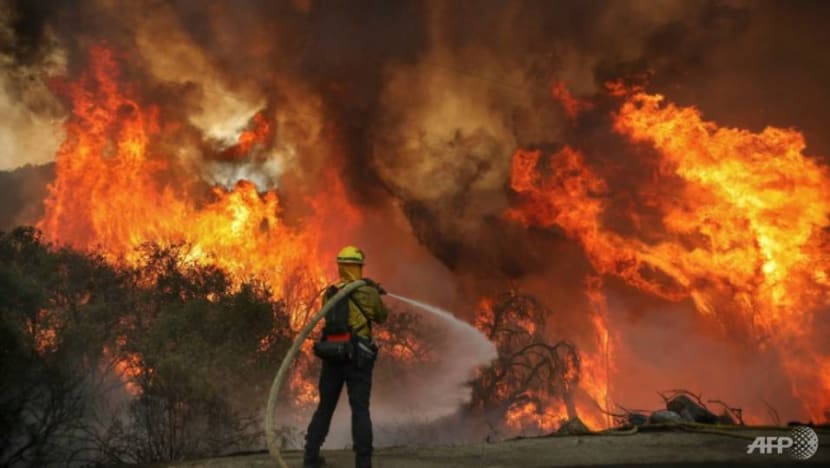 California fire triggered by 'gender reveal firework' California fire triggered by 'gender reveal firework'