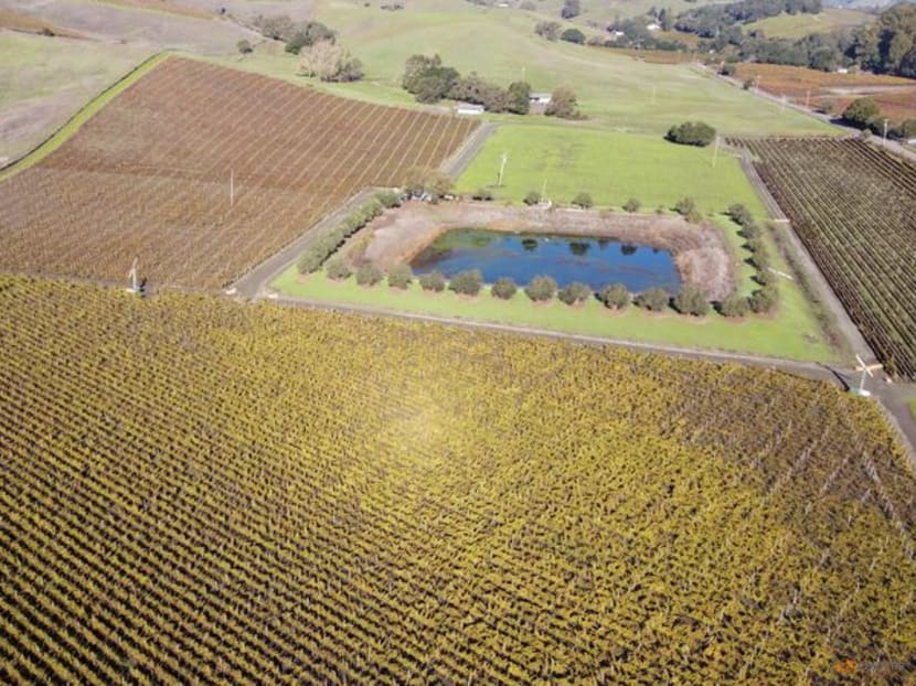 A California winemaker turned grapes ruined by wildfire smoke into vodka A California winemaker turned grapes ruined by wildfire smoke into vodka