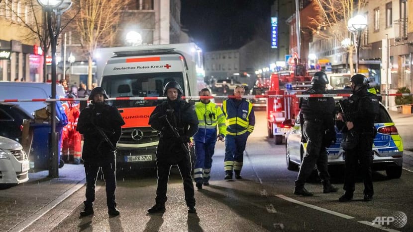 Nine dead in 'xenophobic' Germany bar shootings