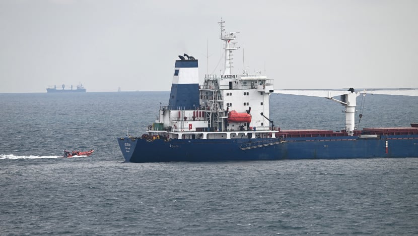 3 kapal muatan jagung bakal berlepas dari Ukraine 