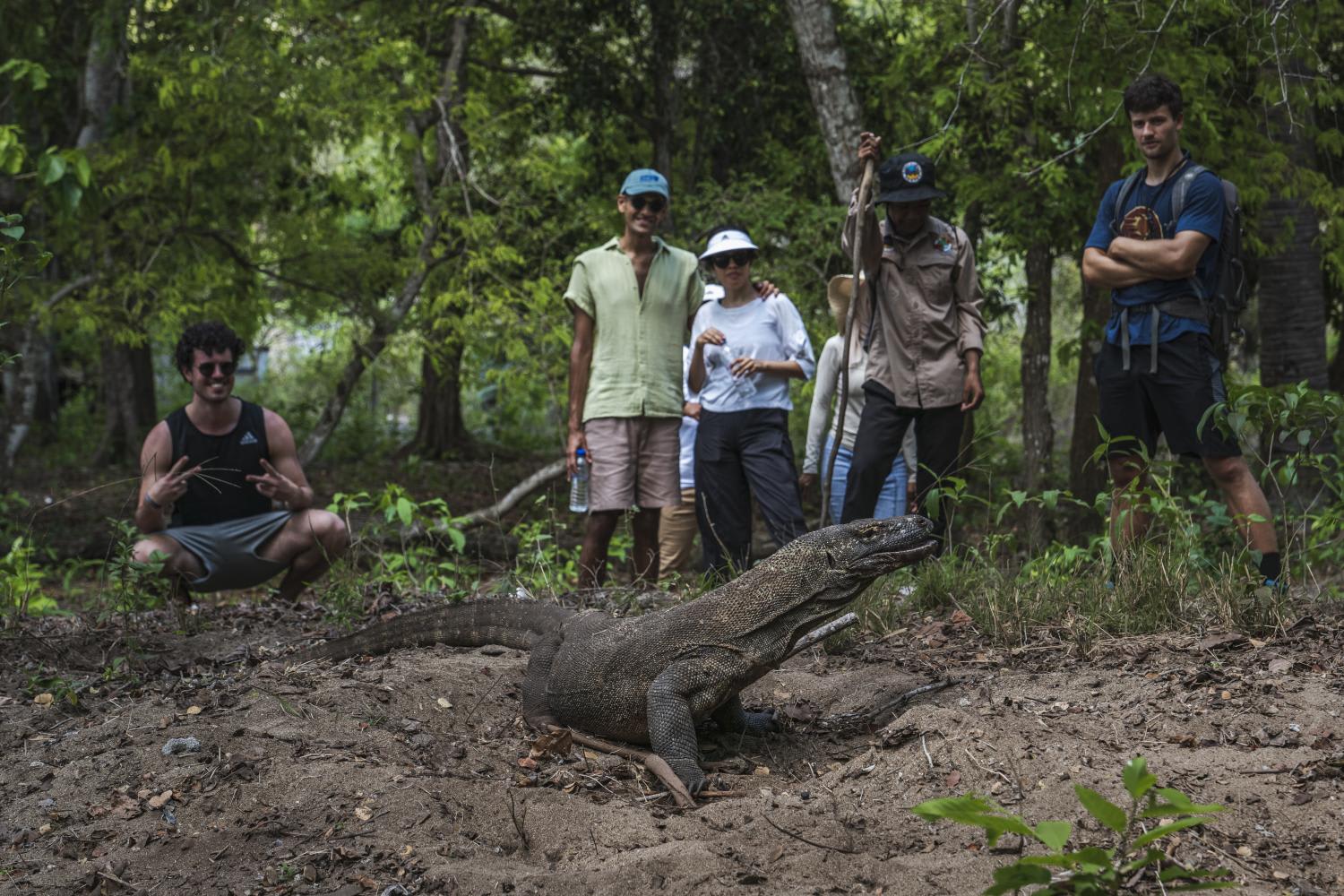 Tourists photograph a komodo dragon in Komodo National Park, Komodo Island, Indonesia, on Nov 4, 2022. The Indonesian government is hoping to raise fees to US$1,000 in the Komodo National Park, but many fear the price hike will send tourists fleeing.
Tourists photograph a komodo dragon in Komodo National Park, Komodo Island, Indonesia, on Nov 4, 2022. The Indonesian government is hoping to raise fees to US$1,000 in the Komodo National Park, but many fear the price hike will send tourists fleeing.