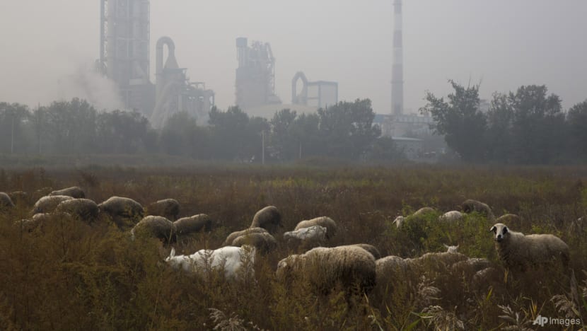 Cement carbon dioxide emissions quietly double in 20 years Cement carbon dioxide emissions quietly double in 20 years