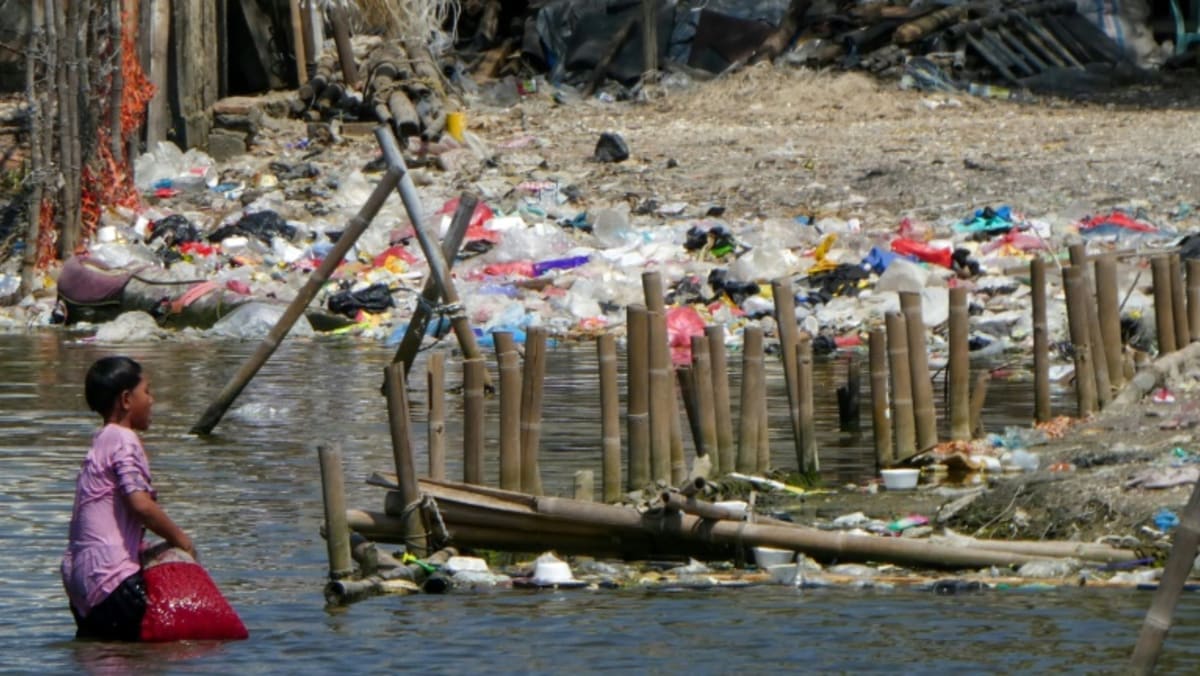Indonesia plans to ban single-use plastic by end of 2029 Indonesia plans to ban single-use plastic by end of 2029