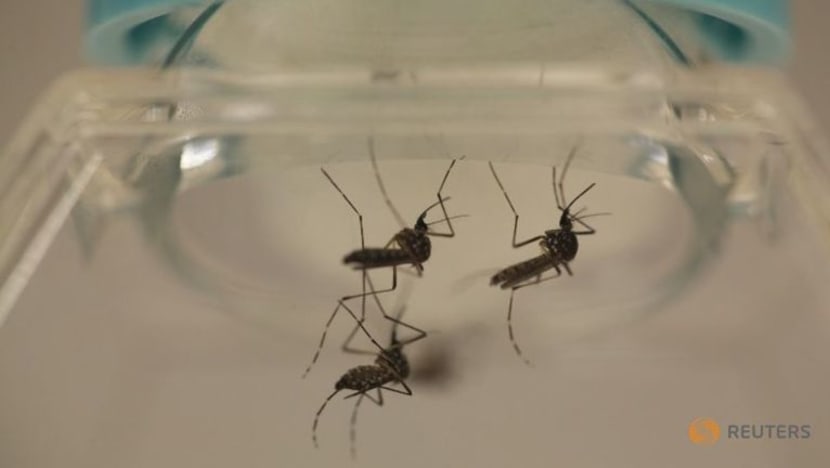 Lebih 40 orang di Malaysia disyaki dijangkiti virus Zika