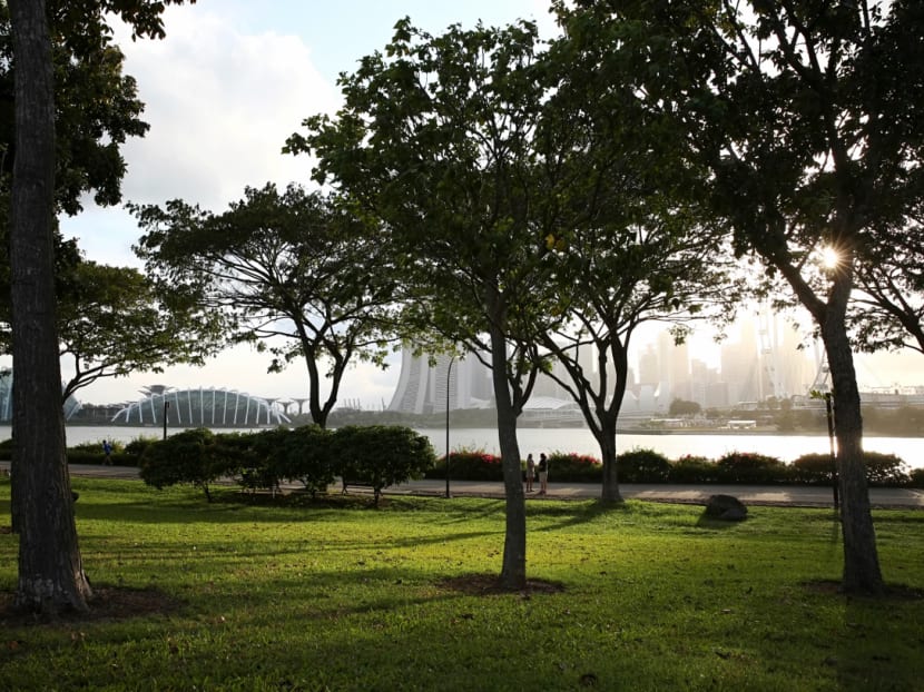 Bay East Garden at Gardens by the Bay, the preferred location of the Founder's Memorial, taken on 13 February 2017. Photo: Nuria Ling/TODAY
