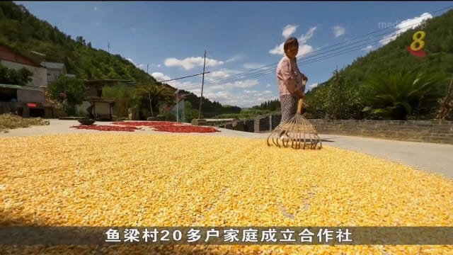 为解决经济困难问题 中国农村将田地租给城市人