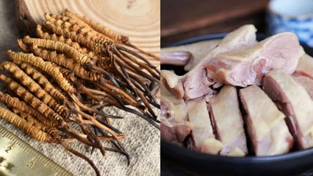 【抗癌食疗】虫草鸭肉汤 【抗癌食疗】虫草鸭肉汤