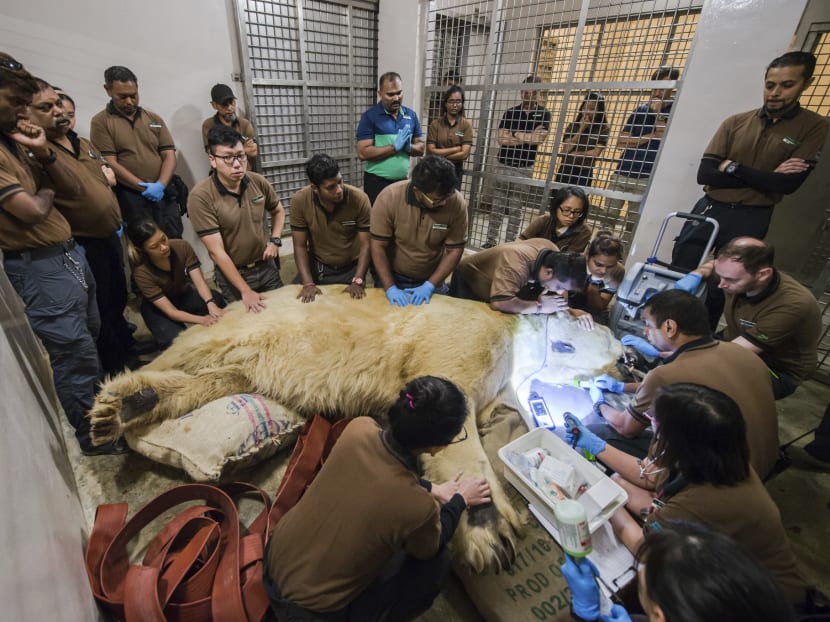 Inuka’s family of caregivers past and present gathered around him as Dr Abraham Mathew, Assistant Director, Veterinary Services, administered the final injection to relieve him from suffering.