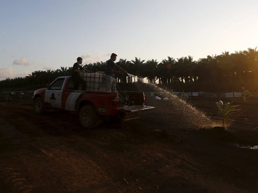 Agricultural workers water crops at a farm in Kuantan. Malaysia’s agriculture and mining sectors account for 15 per cent of the economy. Agricultural workers water crops at a farm in Kuantan. Malaysia’s agriculture and mining sectors account for 15 per cent of the economy.
