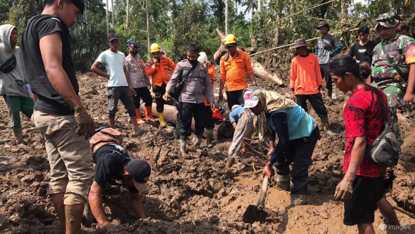 Death toll from Indonesia earthquake rises to 11 Death toll from Indonesia earthquake rises to 11