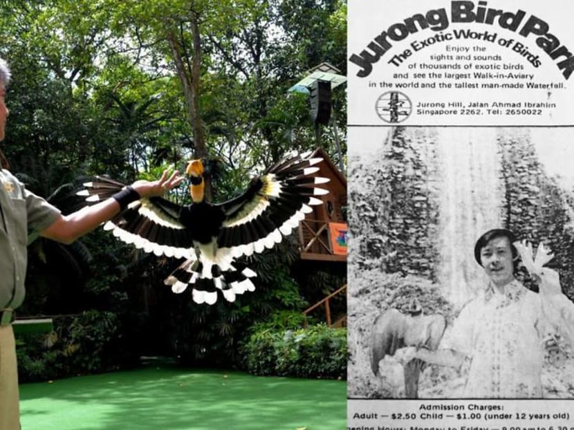 Jurong Bird Park marks 50th anniversary with S$2.50 admission