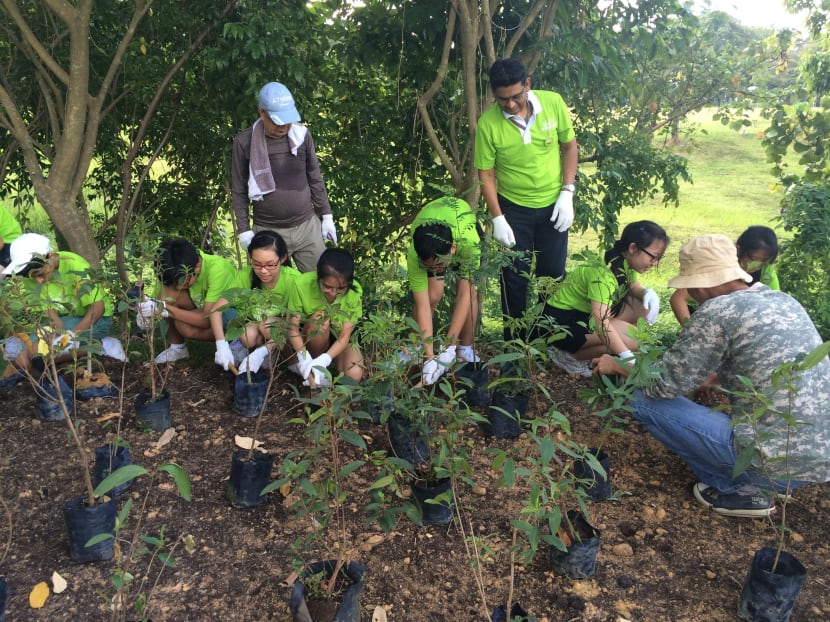 Bishan-Ang Mo Kio Park to blossom into habitat for more butterflies