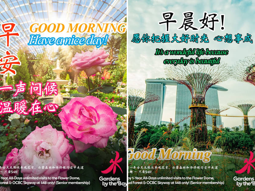 Some of the "Good Morning" memes in Gardens by the Bay's marketing campaign targeted at boomers. 