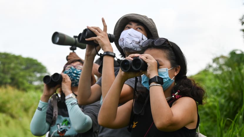 Not just for the birds: How citizen scientists flock together for conservation Not just for the birds: How citizen scientists flock together for conservation