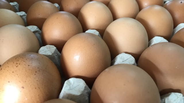 马国鸡农或减产鸡蛋 蛋商：本地鸡蛋供应和价格不受影响