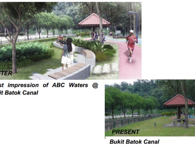 Part of Bukit Batok Canal to be redeveloped for community purposes