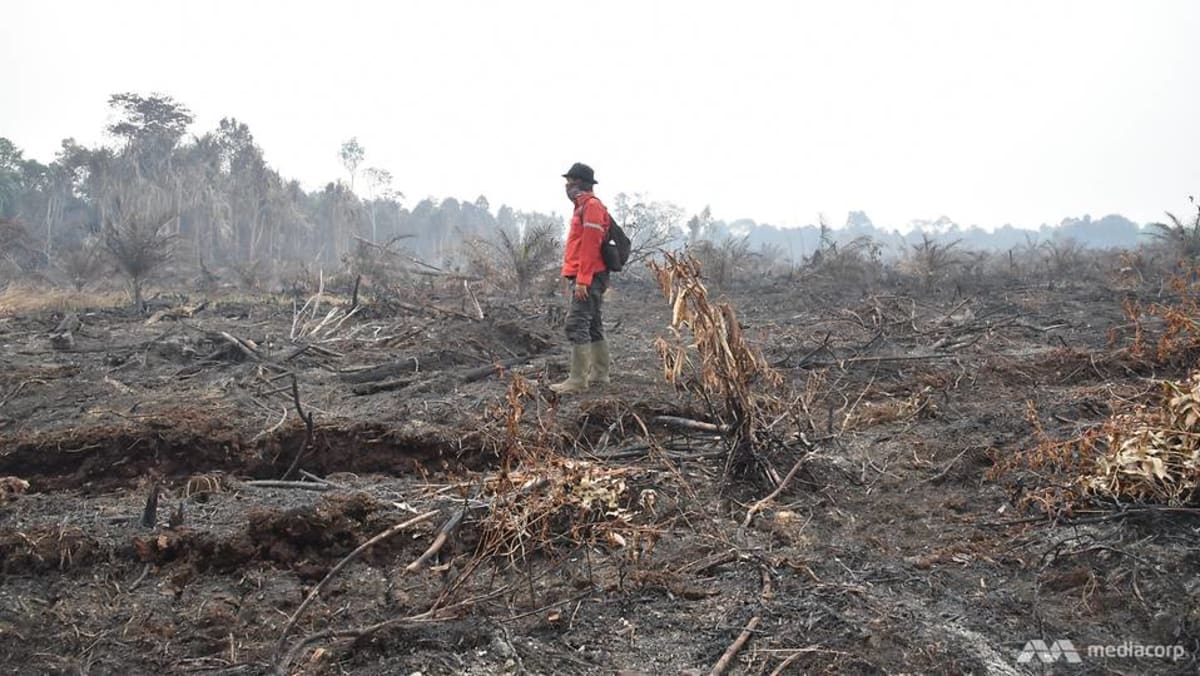 Indonesia braces for forest fires amid possible prolonged dry weather due to El Nino Indonesia braces for forest fires amid possible prolonged dry weather due to El Nino