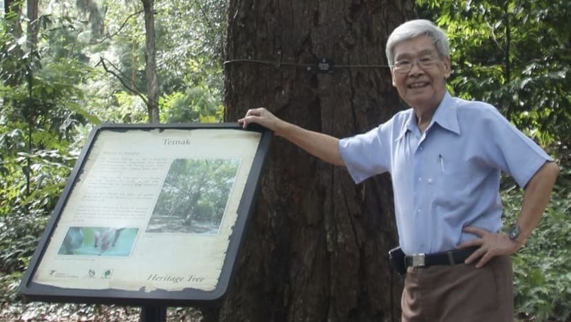 Leaders pay tribute to Singapore's first parks commissioner Wong Yew Kwan