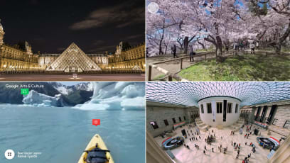 Staying In? See Sakura In Japan, Visit Museums In New York & More For Free — Without Leaving Home