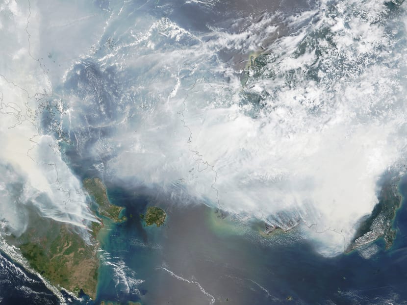 NASA satellite image from Sept 24 shows smoke from fires in Indonesia over the coasts of Borneo and Sumatra with Singapore barely visible on the left. Photo: NASA