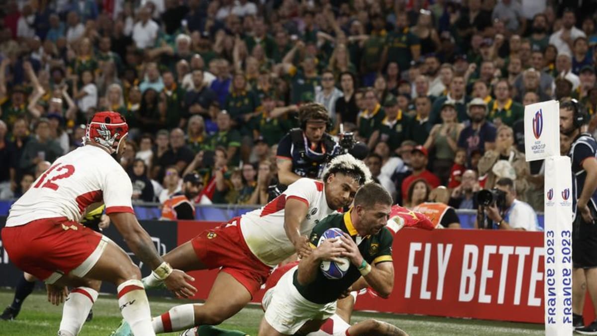 South Africa close on quarter-finals with Tonga win