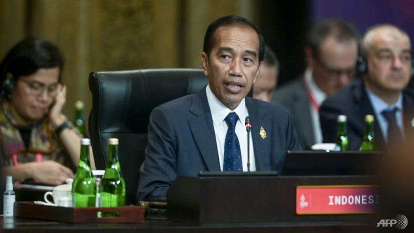 'We must not allow the world to fall into another Cold War': Indonesia's Jokowi at G20 summit