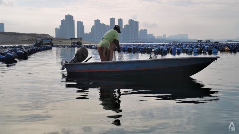 ‘In 10 years, we may no longer be here’: Johor’s Orang Seletar threatened by dwindling seafood catch ‘In 10 years, we may no longer be here’: Johor’s Orang Seletar threatened by dwindling seafood catch
