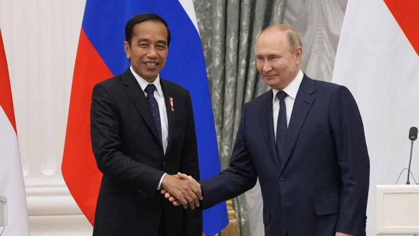 Indonesian president says he delivered Zelenskyy's message to Putin
