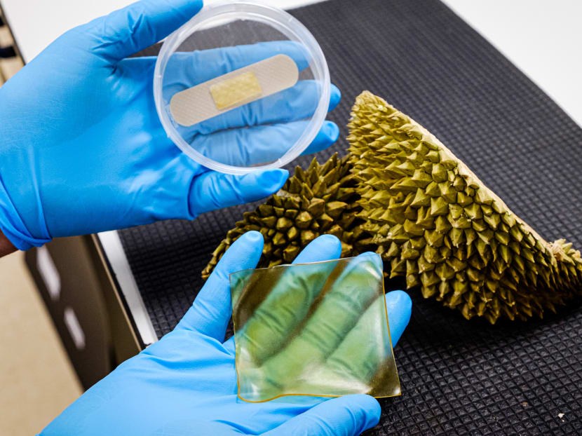 A hydrogel patch and plaster made from durian husk.