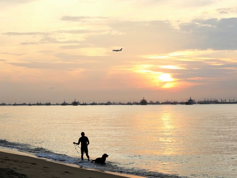 This stretch of the East Coast Park could one day become a part of the "Long Island".