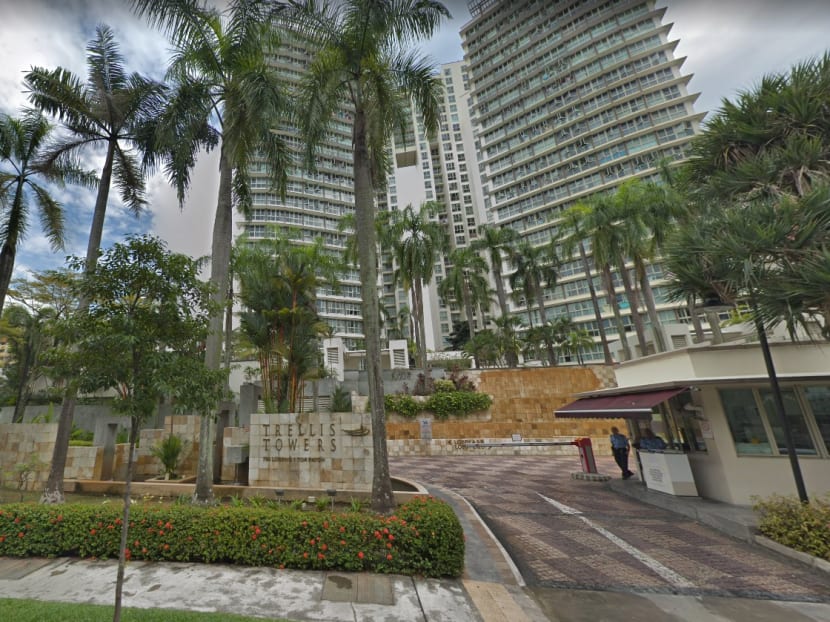 Trellis Towers in Toa Payoh charges visitors S$8 for overnight parking.