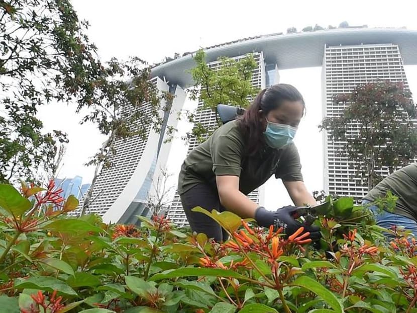 Going the extra mile to keep Gardens by the Bay neat and tidy during the COVID-19 circuit breaker