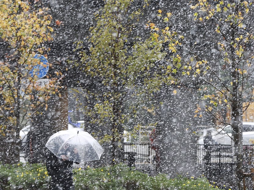 Gallery: Tokyo hit by first November snow in 54 years