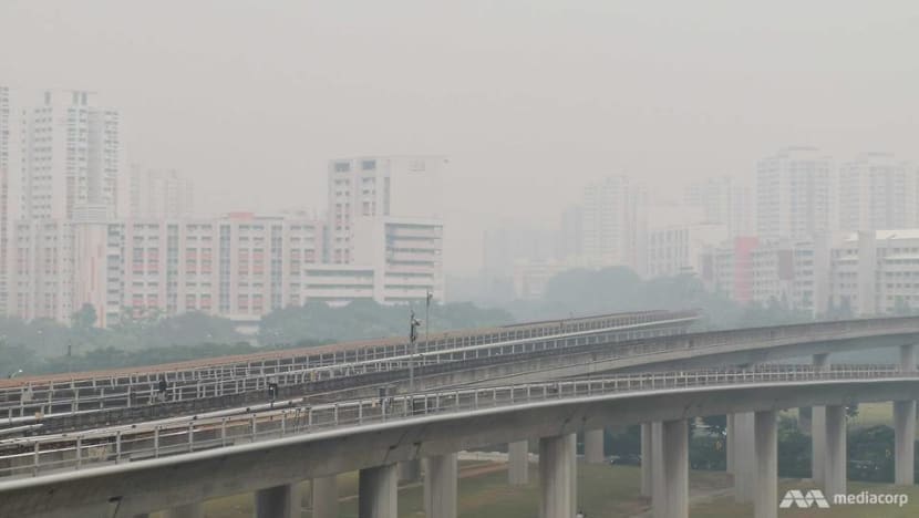 Medium risk of haze returning to Southeast Asia, unlikely to be as severe as previous major incidents: SIIA Medium risk of haze returning to Southeast Asia, unlikely to be as severe as previous major incidents: SIIA