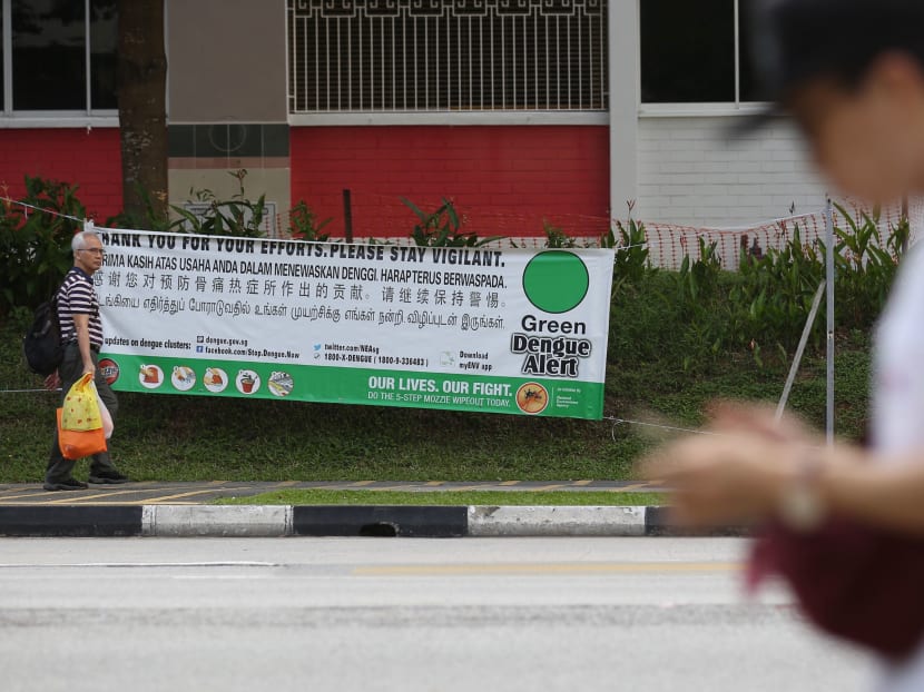 As the elderly may not show typical signs and symptoms of dengue, it is even more critical for doctors to have a keen sense to suspect, test and review, say the authors. As the elderly may not show typical signs and symptoms of dengue, it is even more critical for doctors to have a keen sense to suspect, test and review, say the authors.