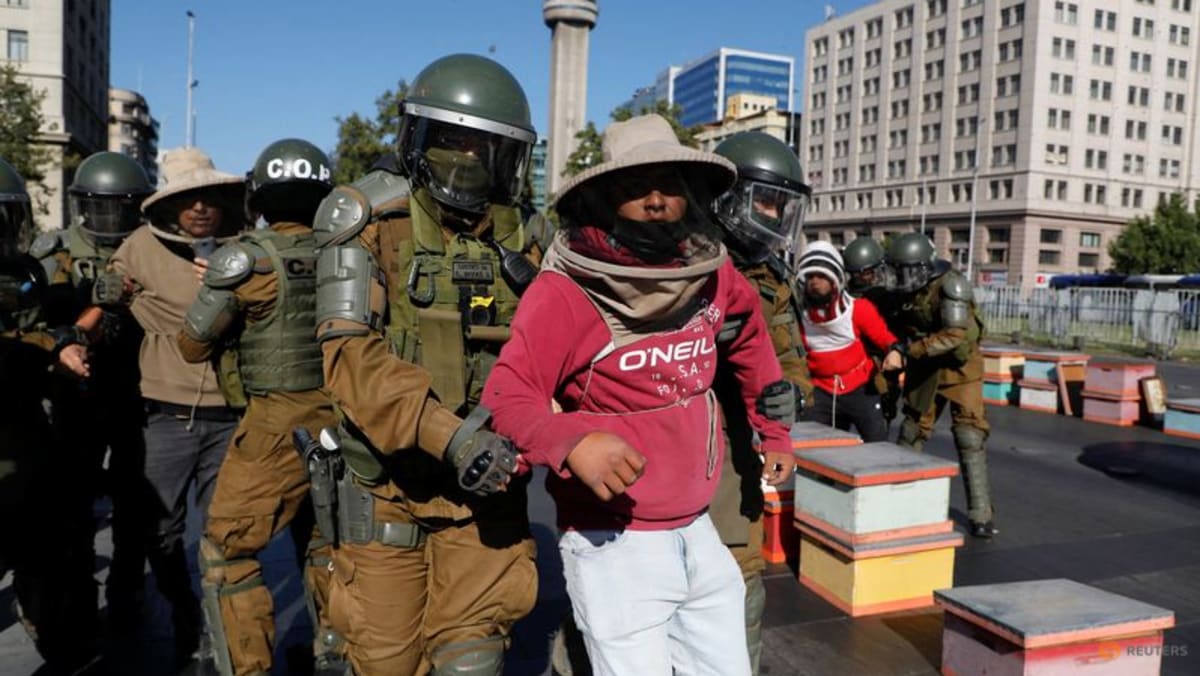 Empat peternak lebah ditahan setelah protes di ibukota Chili, polisi disengat lebah