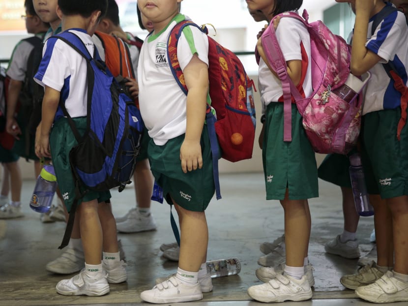 Increase in school fees for PRs, international students for next 2 years, no change for Singaporeans: MOE Increase in school fees for PRs, international students for next 2 years, no change for Singaporeans: MOE