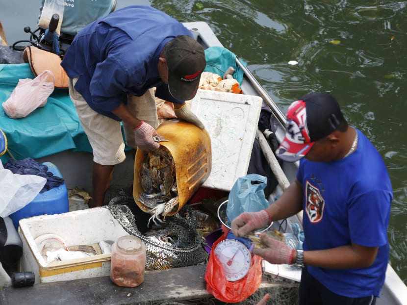 Mega projects off Johor hit fishermen livelihood