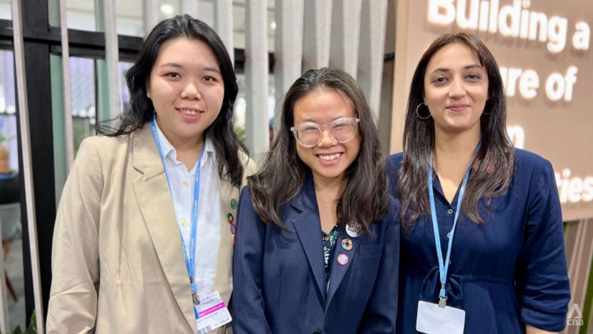 Solidarity and influence: How Singaporean youth at COP27 hope to shape climate action