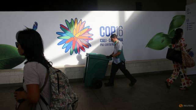 World lags on 2030 nature goals headed into UN COP16 talks