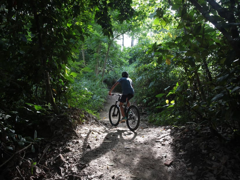 Spend 2 hours a week in nature to improve health, say doctors Spend 2 hours a week in nature to improve health, say doctors