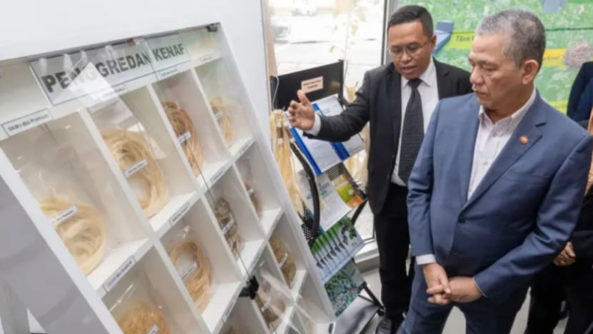 Inter-ministry talks to look at medicinal potential of cannabis, ketum: Malaysia's DPM Inter-ministry talks to look at medicinal potential of cannabis, ketum: Malaysia's DPM