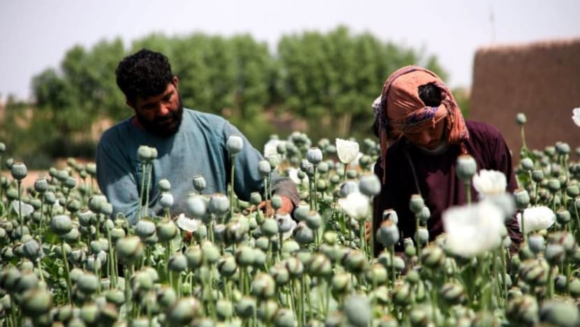 Commentary: What the Afghanistan conflict means for global heroin trade